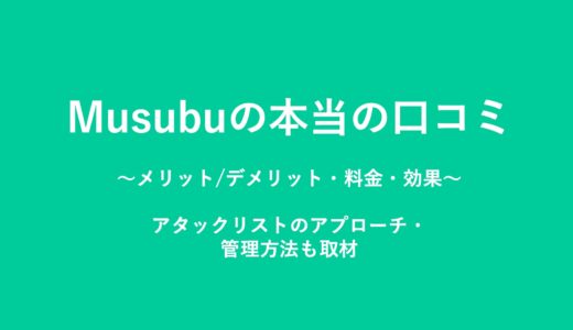 Musubuの本当の口コミ(評判)。メリット・料金・効果の実態調査。アタックリストのアプローチ・管理方法も取材